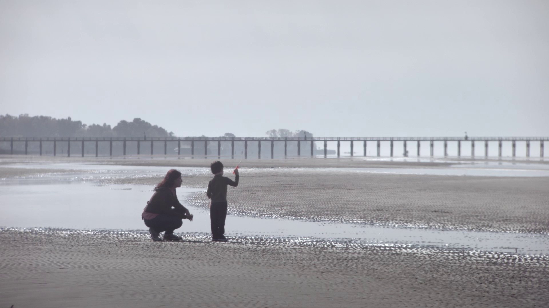 vlcsnap-2019-05-26-23h11m36s772